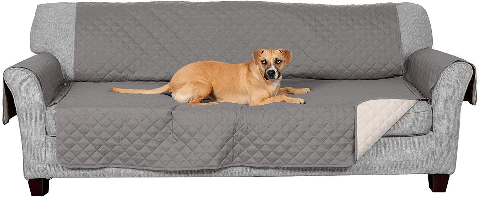 Couch Cover Protector for Dogs & Cats