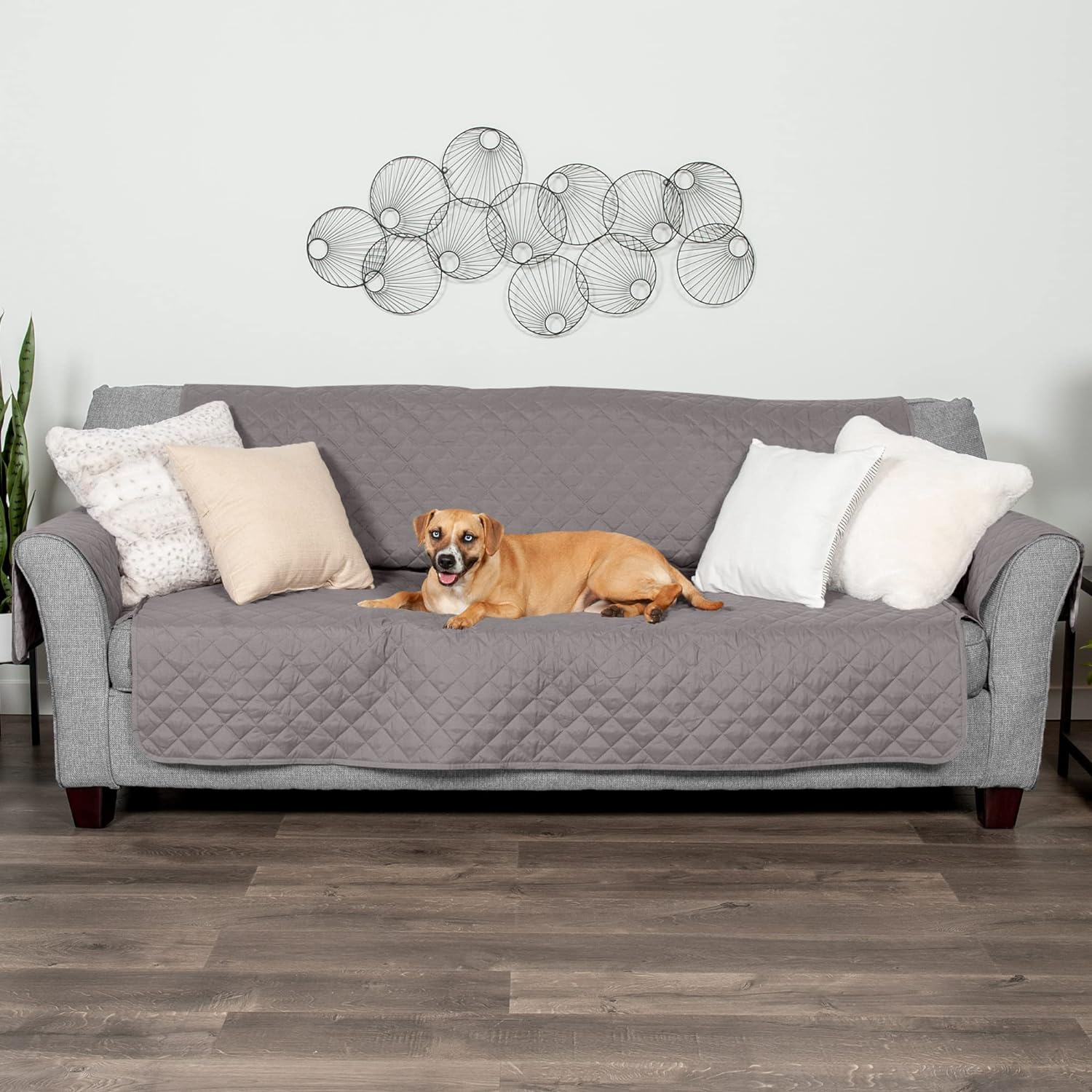 Couch Cover Protector for Dogs & Cats