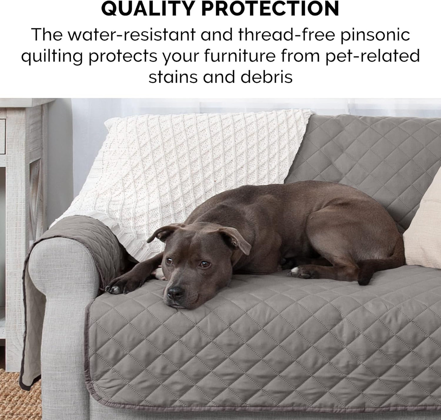 Couch Cover Protector for Dogs & Cats