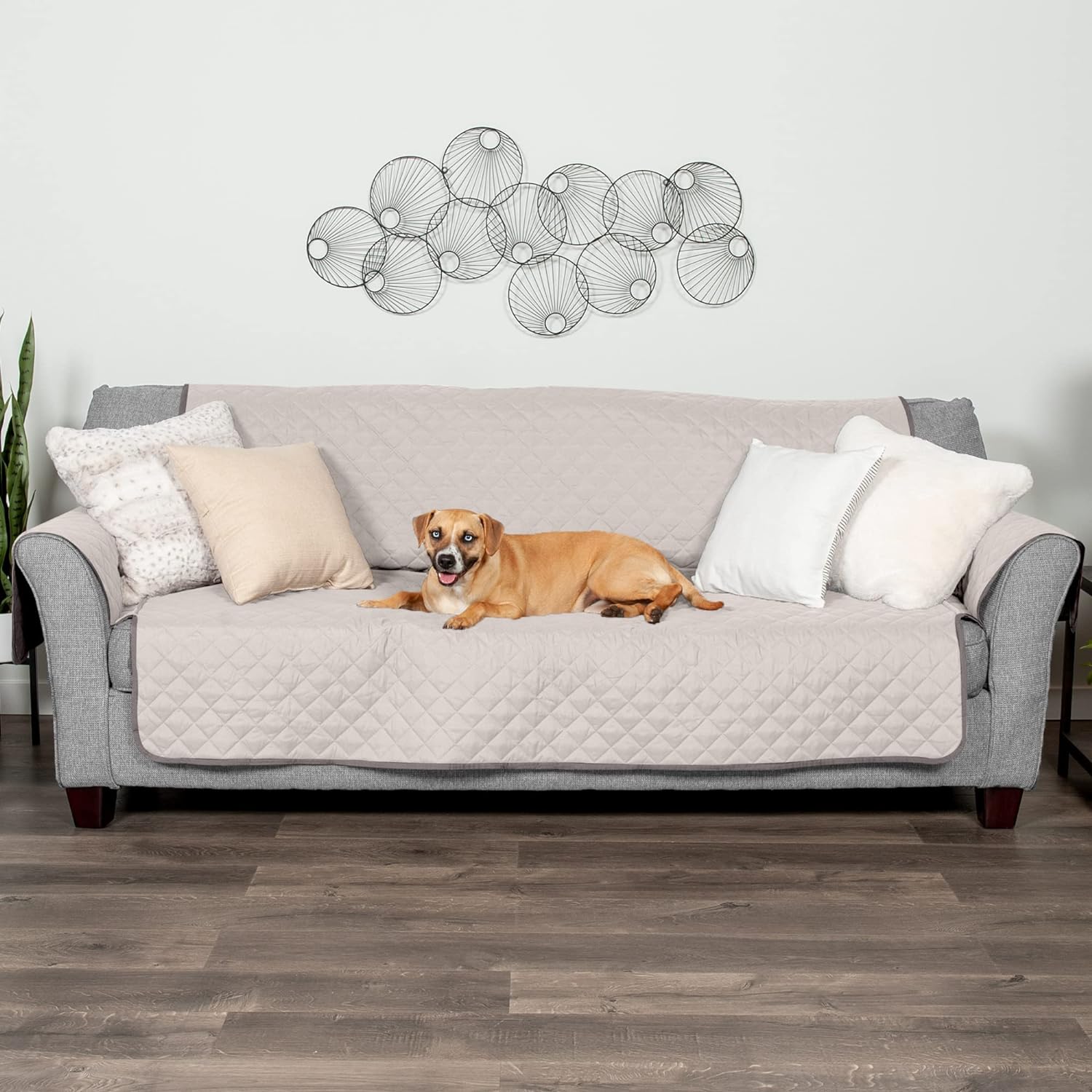 Couch Cover Protector for Dogs & Cats